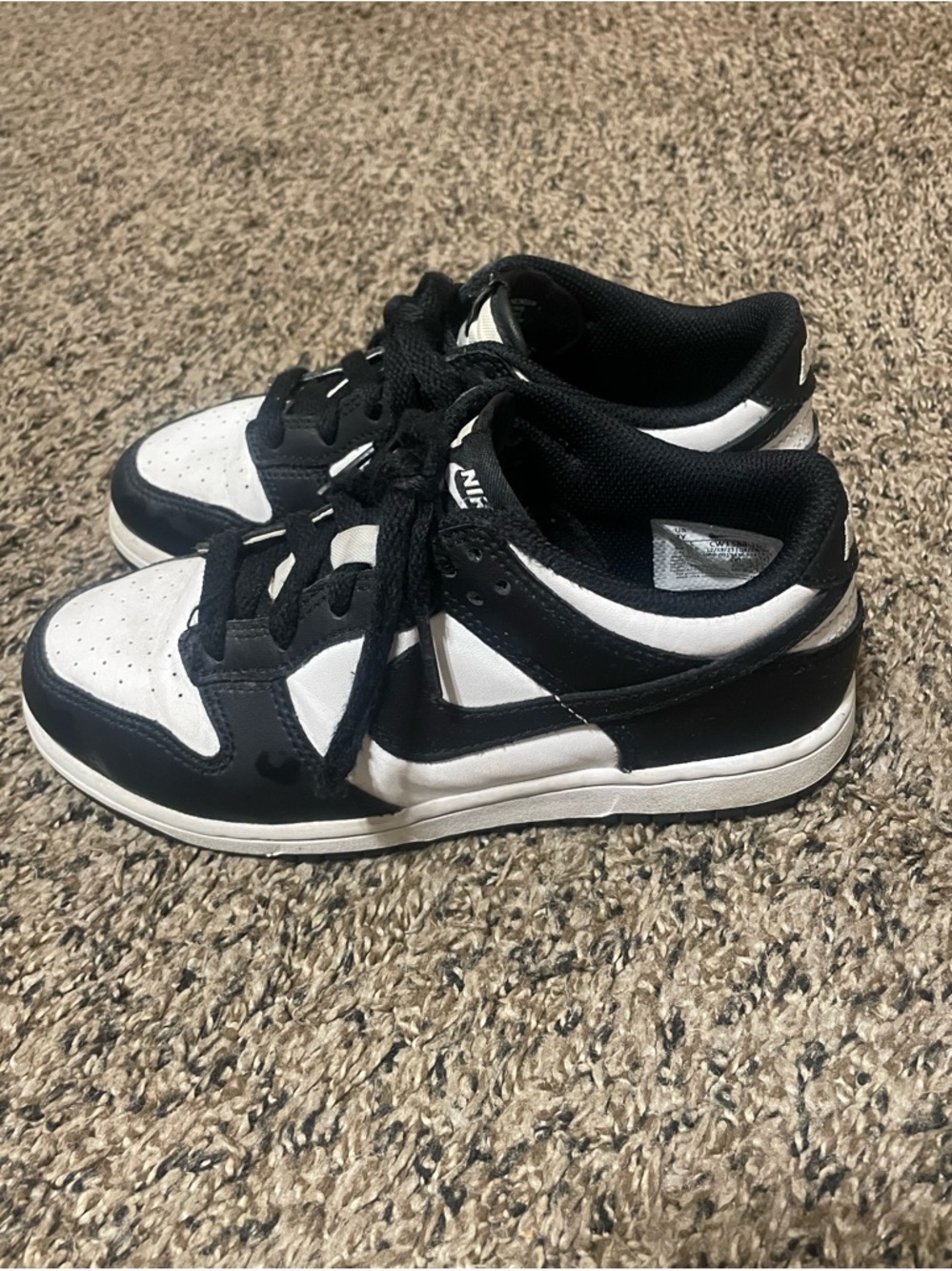 Kids Nike Dunk